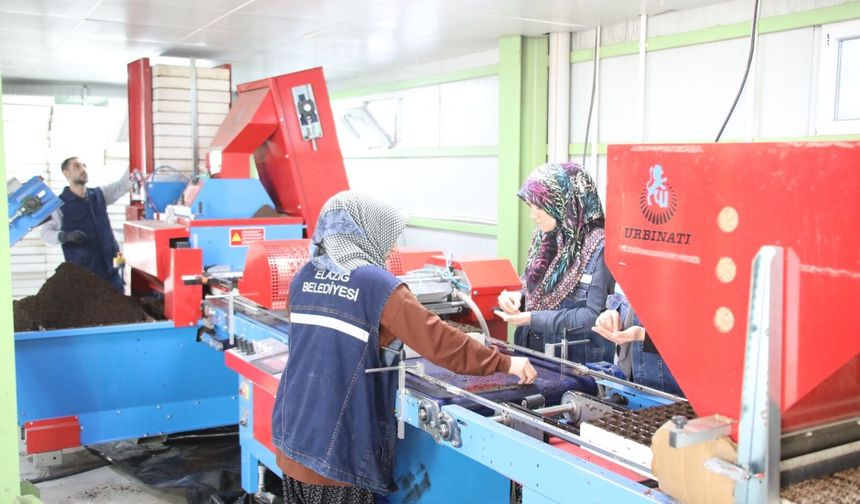 Elazığ Belediyesi’nden Cip Jeotermal Sera Sahası’nda Örnek Üretim
