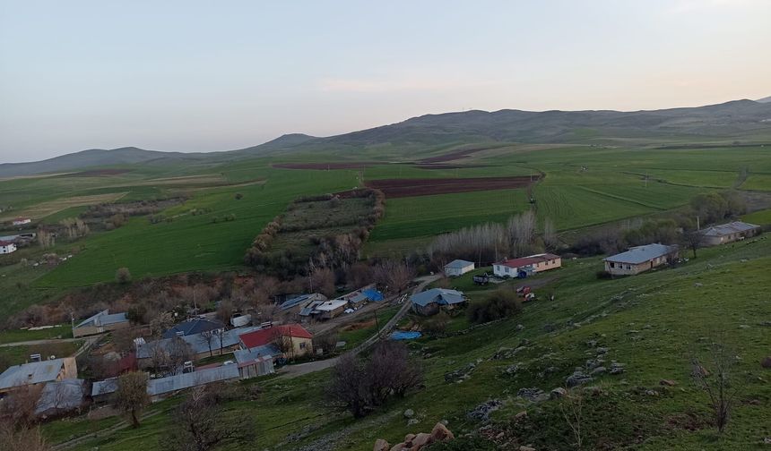 Karakoçan’daki Akbulak Höyüğü 1. Derece Sit Alanı Olarak Tescillendi
