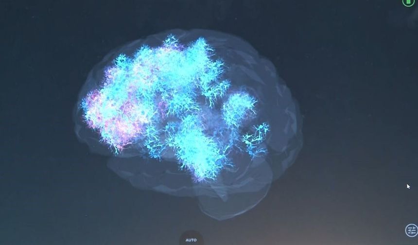 Nöroloji Uzmanından Uyarı: "Sanal Ortamdaki Öldürme Eylemleri Zamanla Gerçek Hayata Yansıyabiliyor"