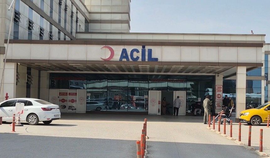 Baharla Birlikte Gelen Kabus