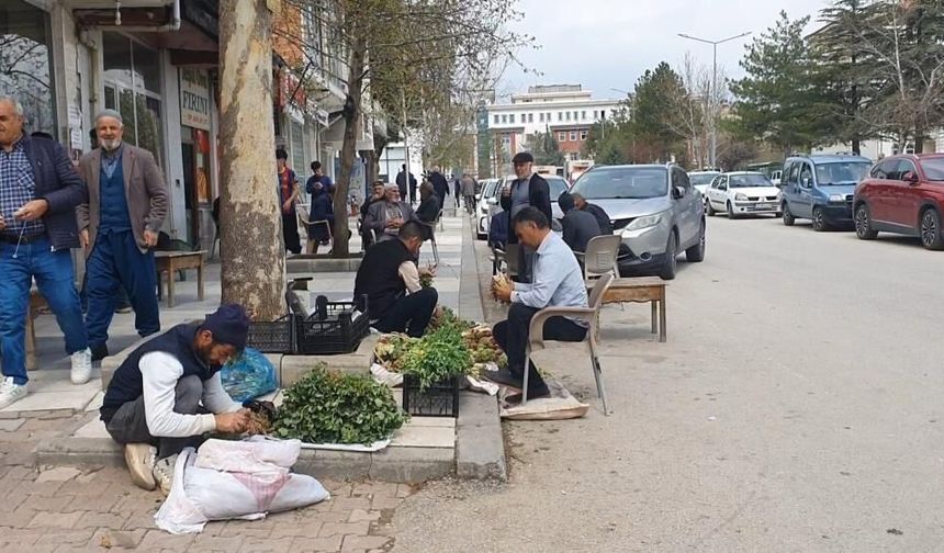 Elazığ'da Bahar Otları Tezgahlarda Yerini Aldı