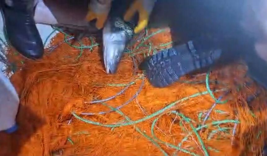 Elazığ'da Kaçak Avcılara Ait 300 Metrelik Ağ Ele Geçirildi