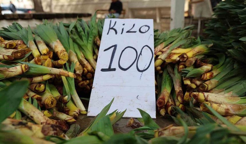 Dağlardan Toplanan Doğal Antibiyotik, Tezgahlarda Yerini Aldı