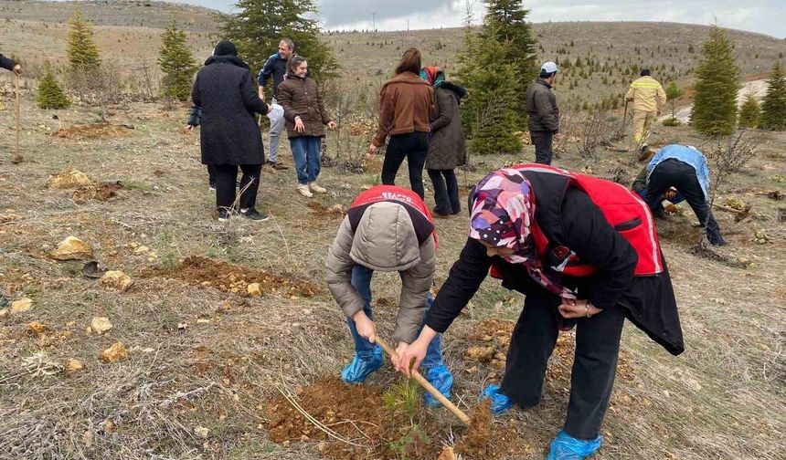 Elazığ'da fidan dikim etkinliği