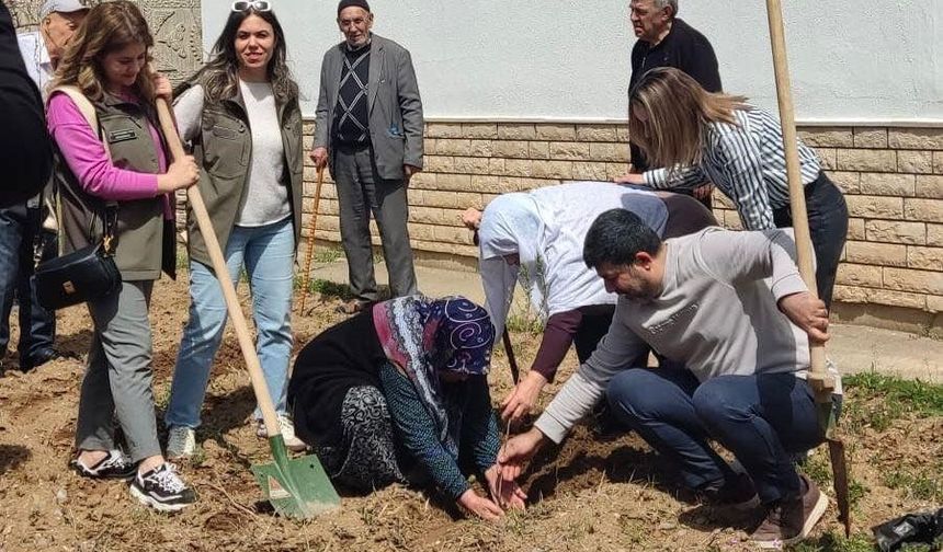 Elazığ'da Fidan Dikme Etkinliği