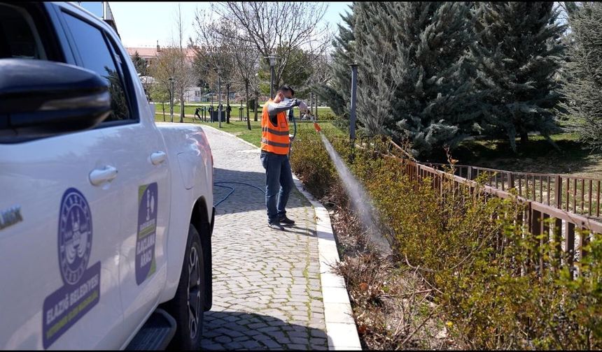 Elazığ'da Haşereyle Mücadele Sürüyor