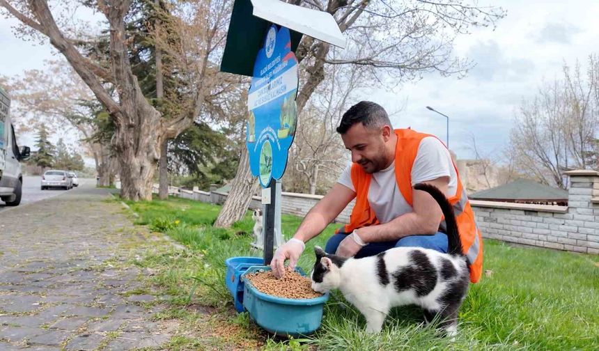 Elazığ'da sokak hayvanlarına mama desteği sürüyor
