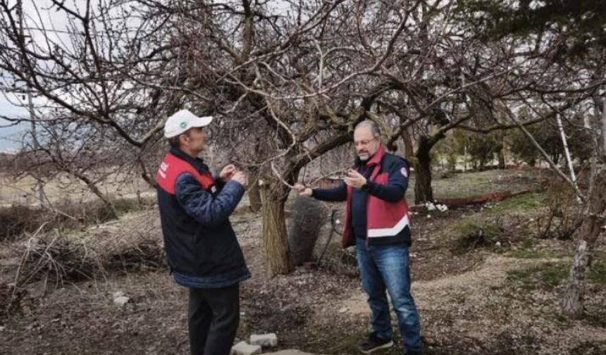 Elazığ'da Zirai Don Mesaisi