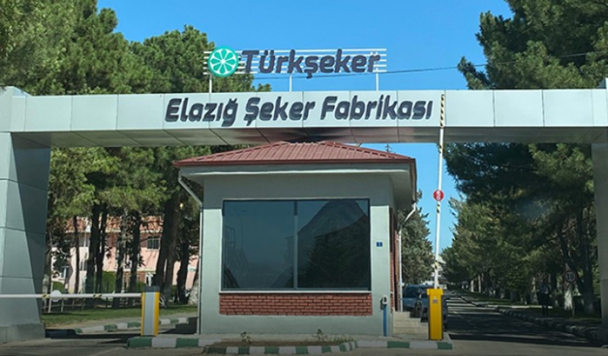 TÜRKŞEKER 525 İşçi Alıyor: Elazığ Kontenjanı Açıklandı
