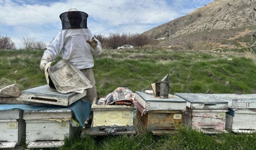 Arıcılar Yavru ve Besleme Dönemine Girdi