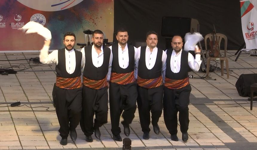 Gençlik Festivali’nde Renkli Görüntüler
