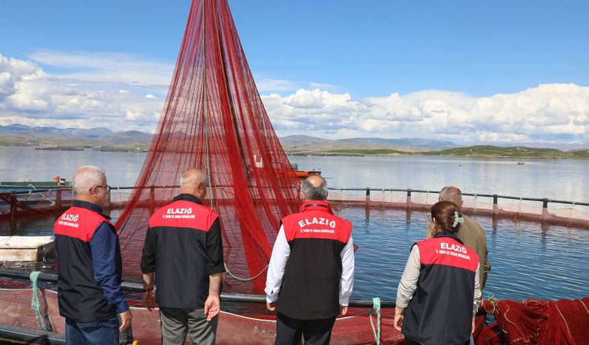 Keban’da Türk Somonu Hasadı Başladı