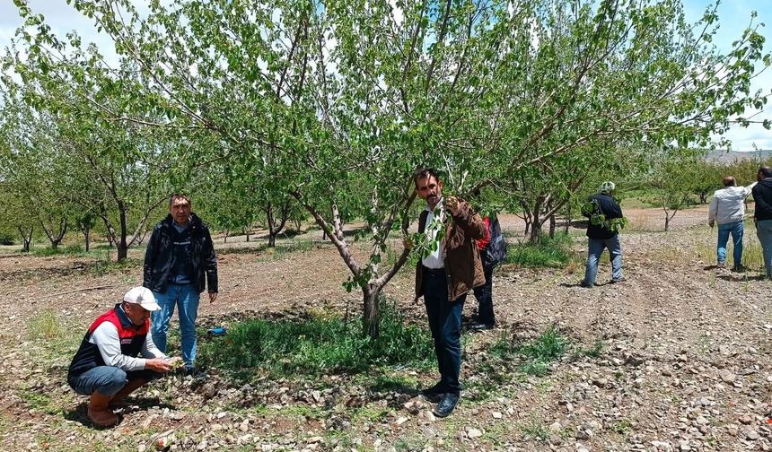 Elazığ'da Dolu Sonrası Hasar Tespiti Yapıldı