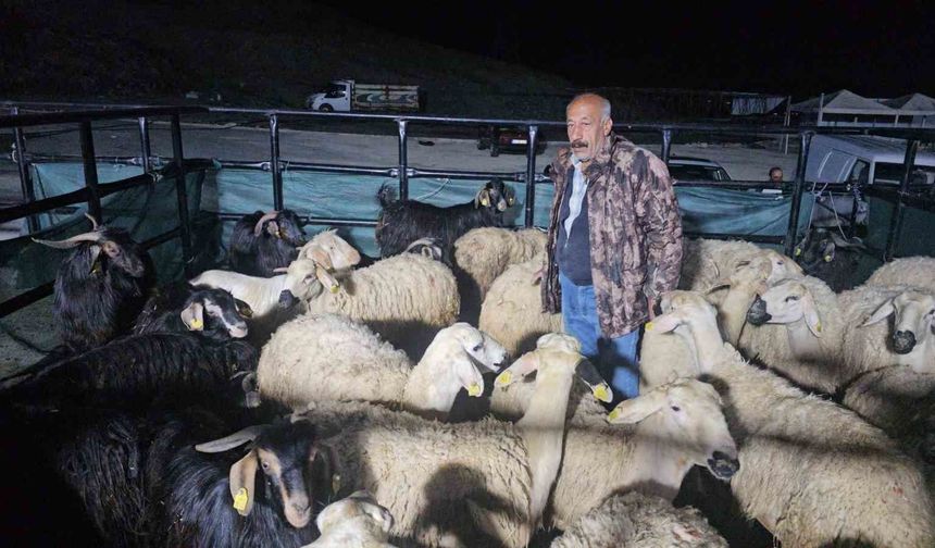 Elazığ'da kurban pazarında uykusuz mesai: Geceyi hayvanlarının başında geçiriyorlar