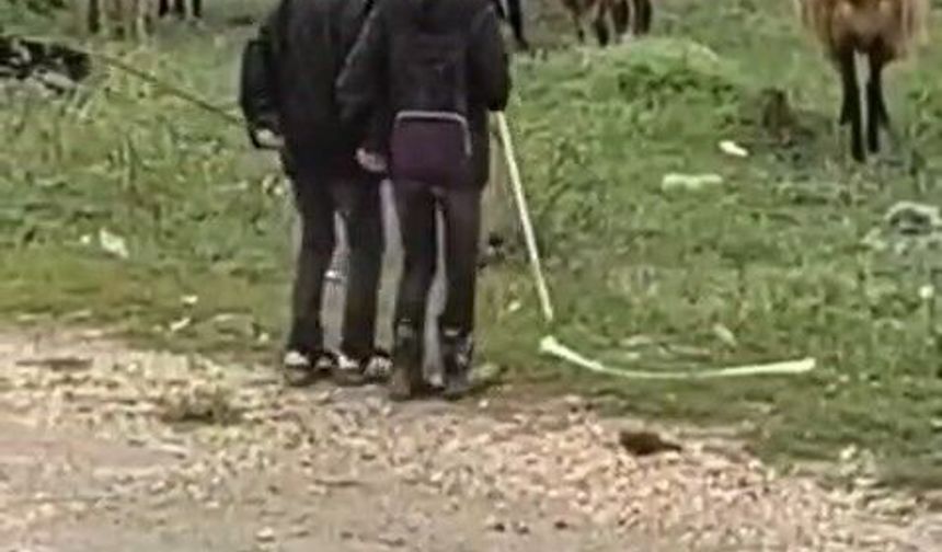 Elazığ'da Minik Çobanların Sürü Başında Halayı