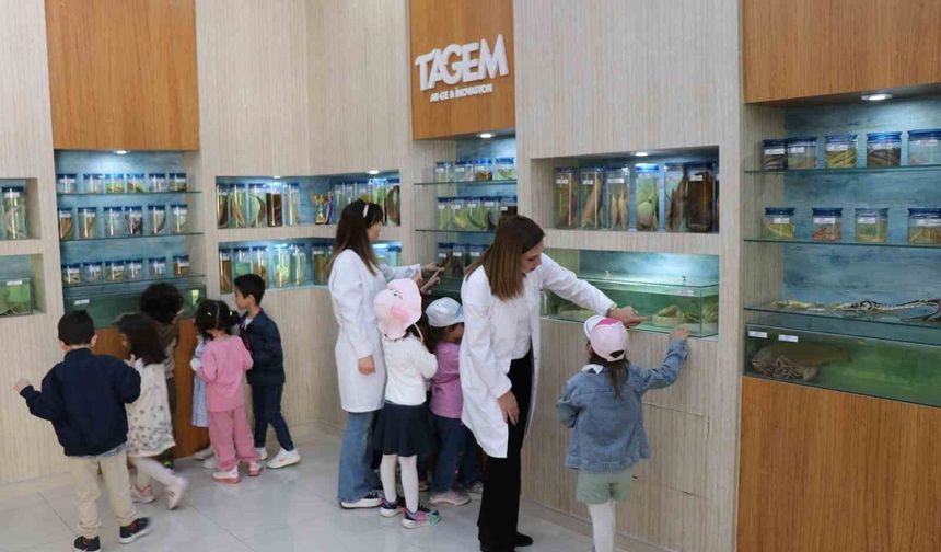 Elazığ'da Minik Öğrenciler Balık Müzesi'ni Gezdi