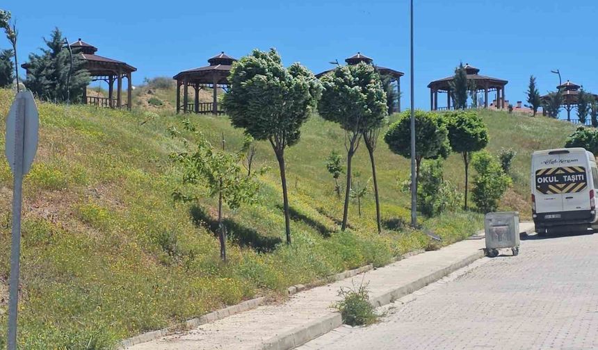 Elazığ'da şiddetli rüzgar etkili oldu