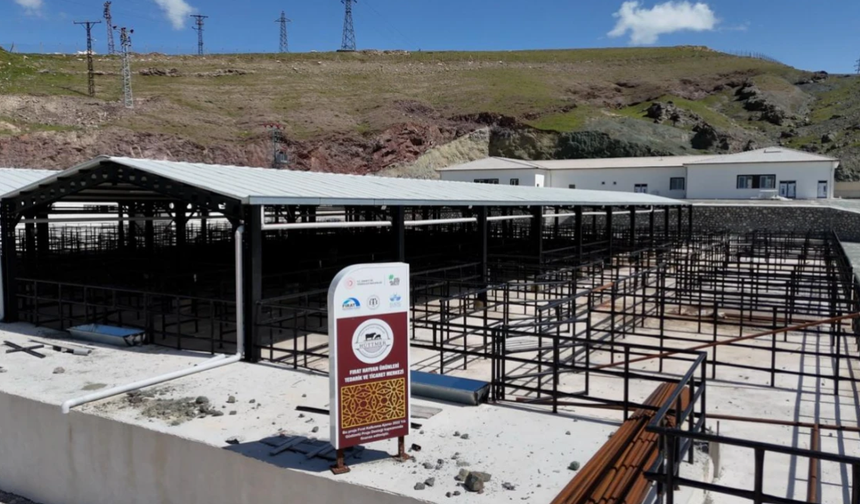 Elazığ Belediyesi, Kurban Satış Ve Kesim Alanını Açıkladı