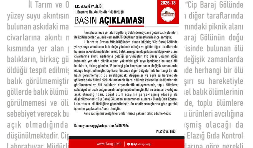 Elazığ Valiliği’nden Cip Baraj Gölü’ndeki Balık Ölümleriyle İlgili Açıklama