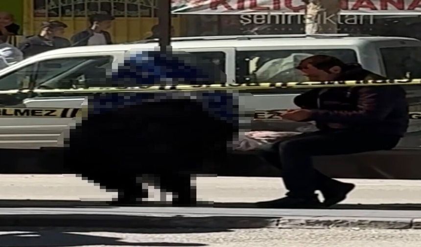 Ekmek Almaya Çıkan Yaşlı Adam Durakta Oturur Vaziyette Ölü Bulundu