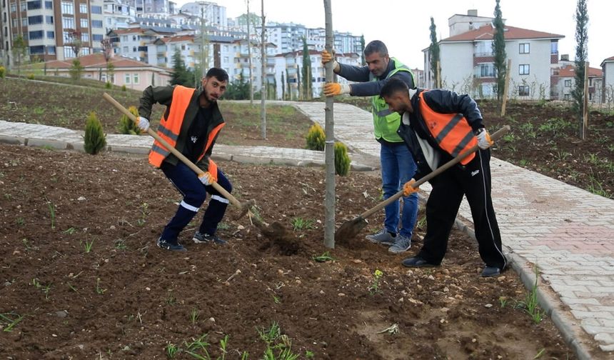 Elazığ Belediyesi, Dikim ve Bakım Çalışmalarını Sürdürüyor