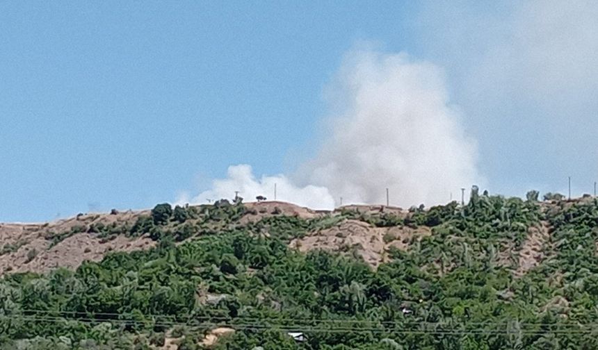 Elazığ'da Arazi Yangını