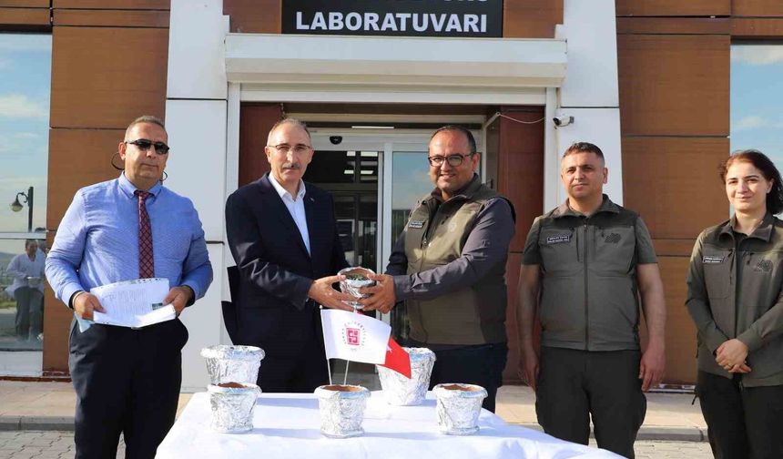FÜ'de Üretilen Endemik Bitkiler Doğaya Kazandırılıyor