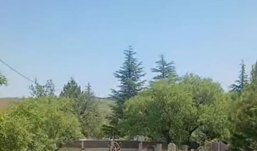 Koruma altındaki dağ keçileri Harput mezarlıklarında görüntülendi