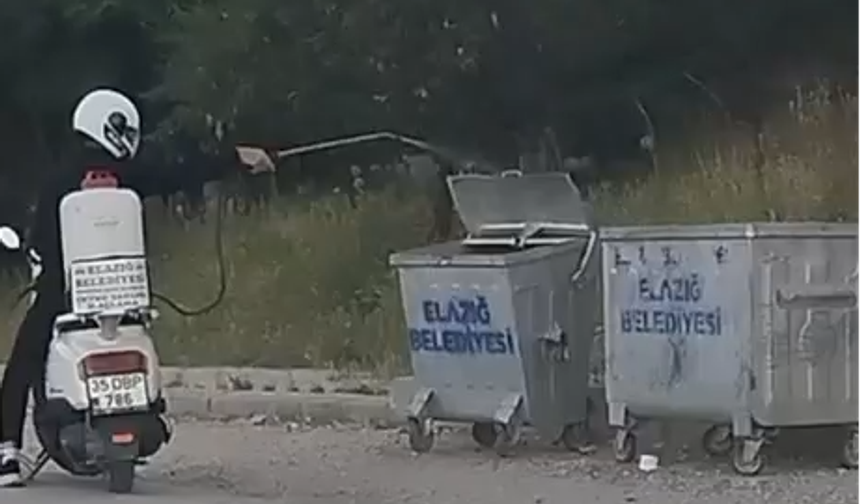 Esentepe Mahallesi’nde Haşereyle Mücadele Çalışmaları Sürüyor