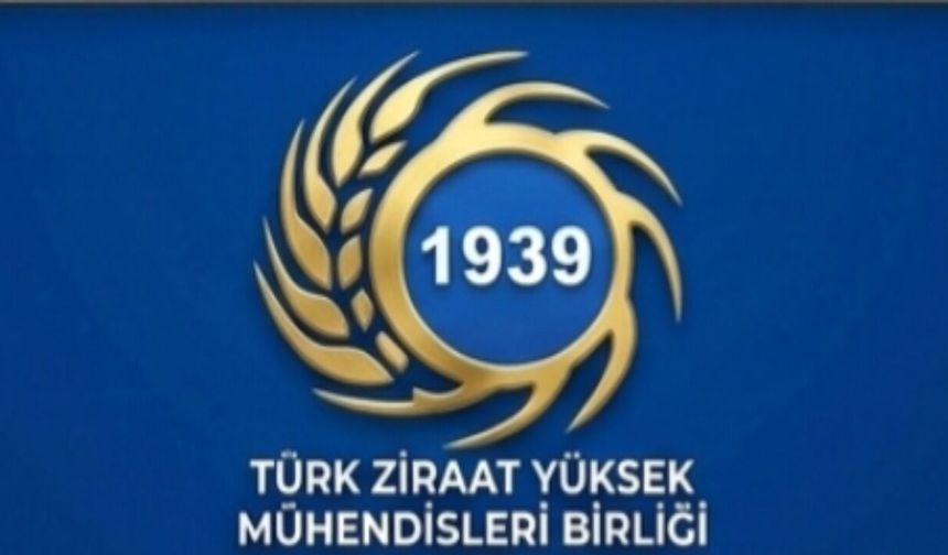 TZYMB’den Buğday Alım Fiyatına Revize Çağrısı
