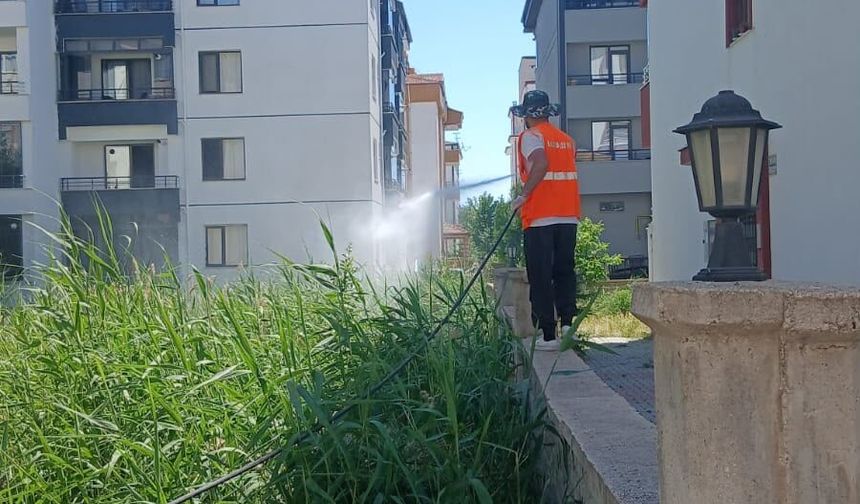 Elazığ Belediyesi Haşereyle Mücadelede Çalışmalarını Aralıksız Sürdürüyor