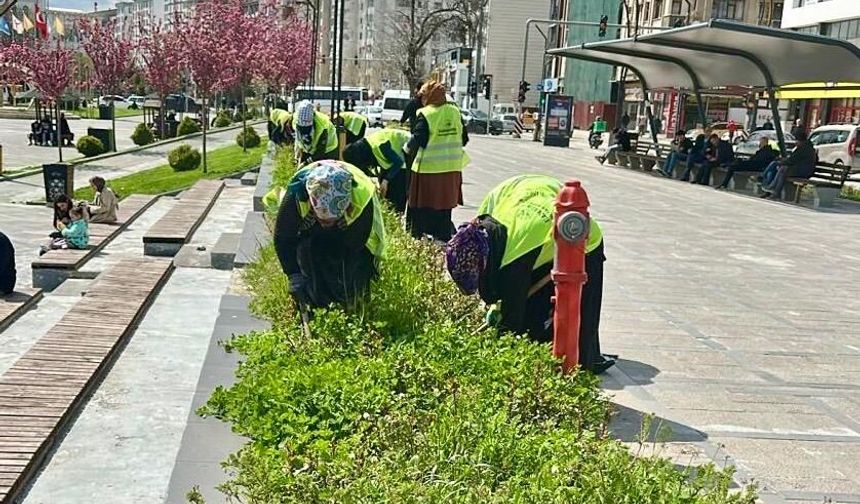 Elazığ Belediyesi’nden Yabani Otlarla Yoğun Mücadele