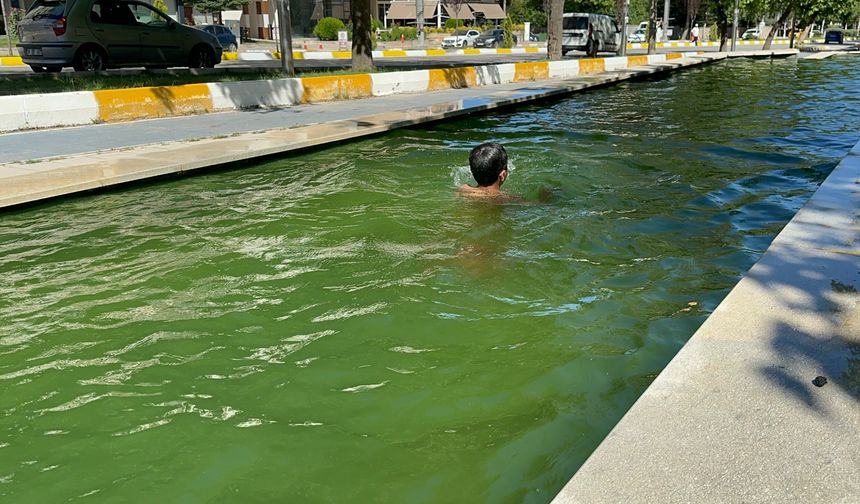 Sıcaktan Bunalan ve Süs Havuzuna Giren Çocuklardan 'Zabıta' İtirafı