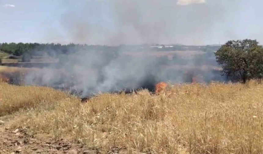 Elazığ'da Arazi Yangını Ekiplerin Müdahalesi Sürüyor