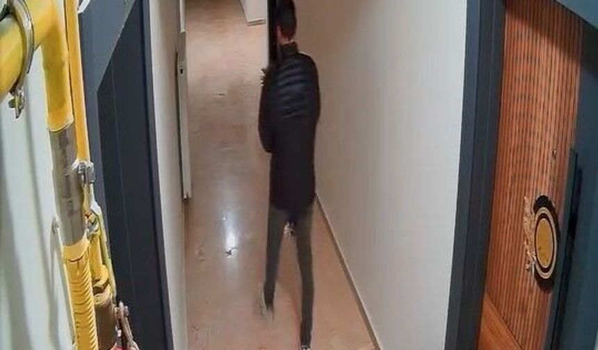 Elazığ'da Çiçek Hırsızı Kameraya Yakalandı