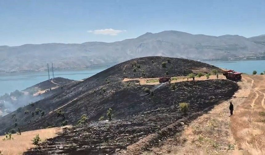 Elazığ'da Çıkan Arazi Yangını Söndürüldü
