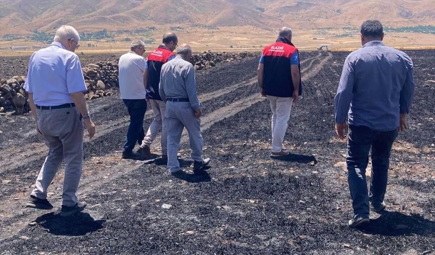Elazığ'da küle dönen 70 dönümlük ekili alanda hasar tespit çalışmaları