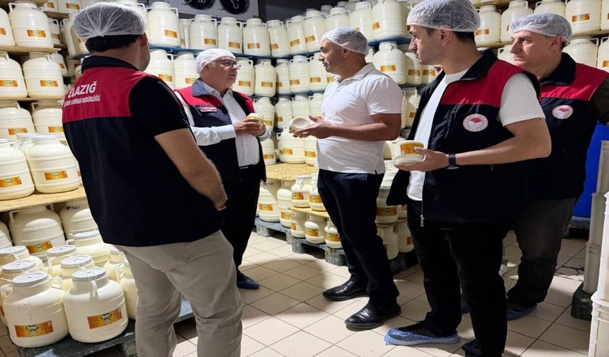 Elazığ'da Tulum Peynirinde Üretim Süreci Yerinde İncelendi
