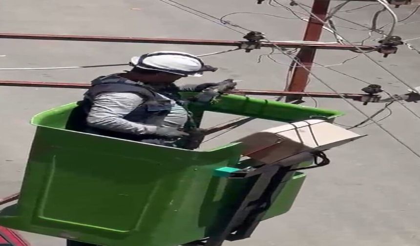 Elektrik Tellerine Takılan Kuş Kurtarıldı