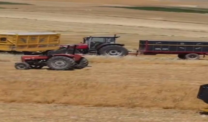 TAKE Destekleriyle Elazığ'da Mercimek Üretimi Artıyor