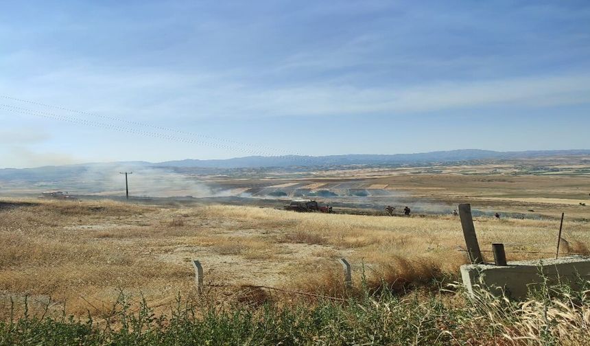 Elazığ'daki Yangında 40 Dönümlük Arpa Küle Döndü