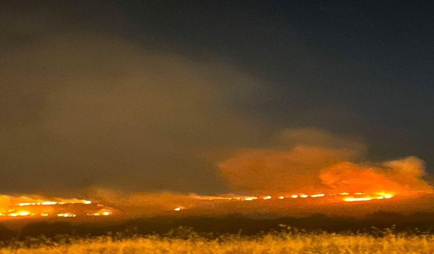 Elazığ'da Dağlık Alanda Yangın Paniği
