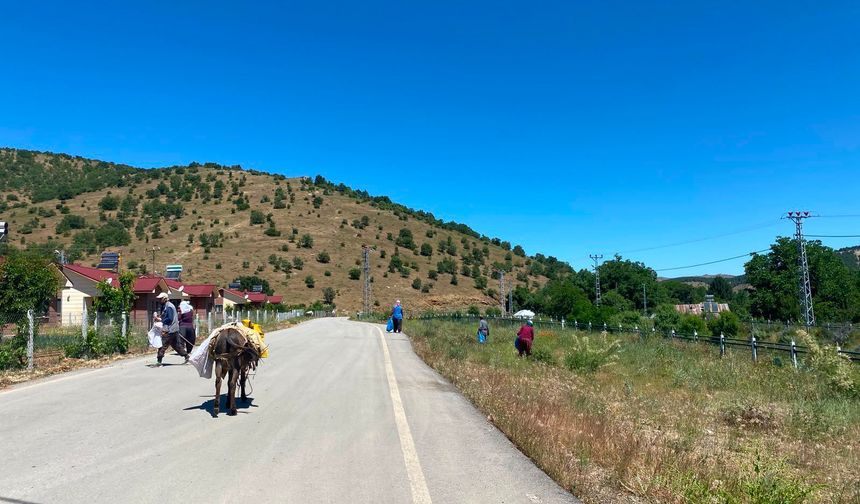 Maden’de Örnek Dayanışma: Kızıltepe Köyü’nde Çevre Temizliği Seferberliği