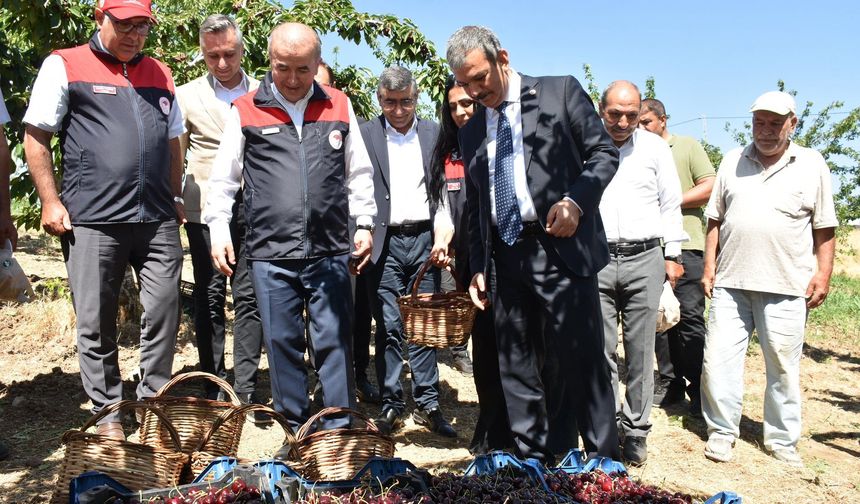 Obuz Köyü’nde Kiraz Hasadı Bereketi Yaşandı