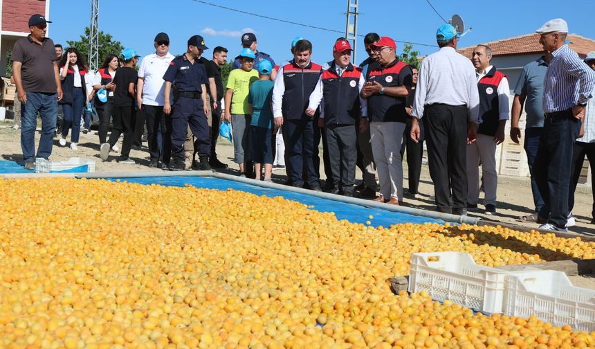 Baskil’de Kayısı Mesaisi: Vali Hatipoğlu Üreticilerle Buluştu