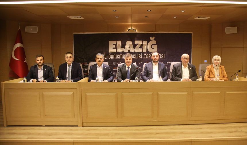 AK Parti Elazığ'da İl Danışma Meclisi Toplandı