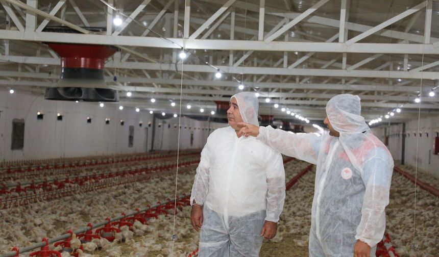 Elazığ'da Kanatlı Üretimine Stratejik Yatırım