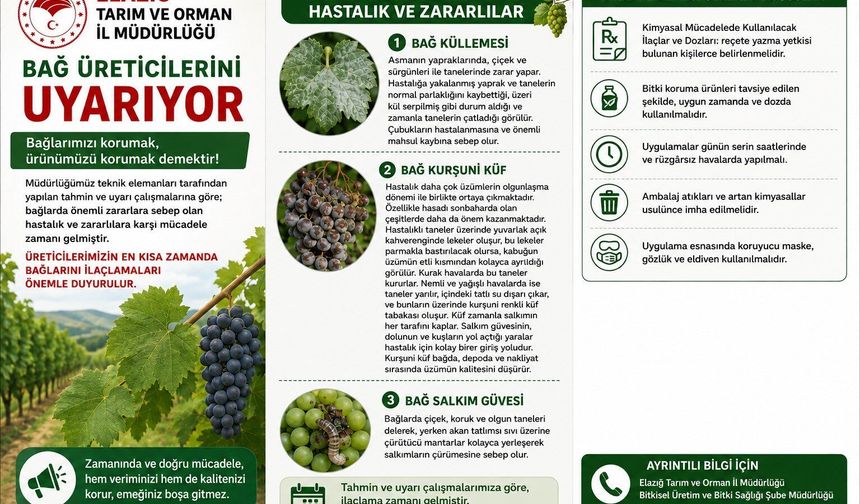 Elazığ’da Bağ Üreticilerine Hastalık ve Zararlı Uyarısı