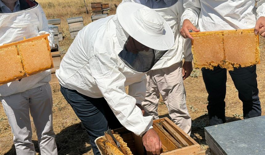 Elazığ’da Organik Bal Üretiminde Hasat Heyecanı