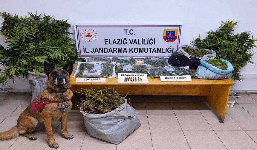 Elazığ’da Uyuşturucu Operasyonu: 3 Şüpheli Tutuklandı